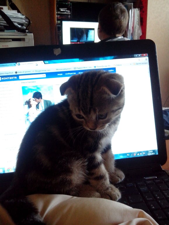 Нам уже 6 мес.