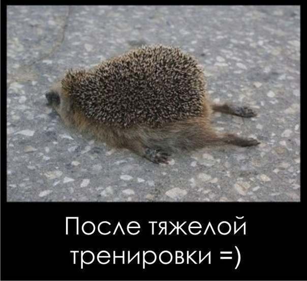 Недельный отчет.(скидываем от 25 и больше)