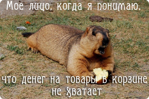 немного позитива.) узнаете себя?))