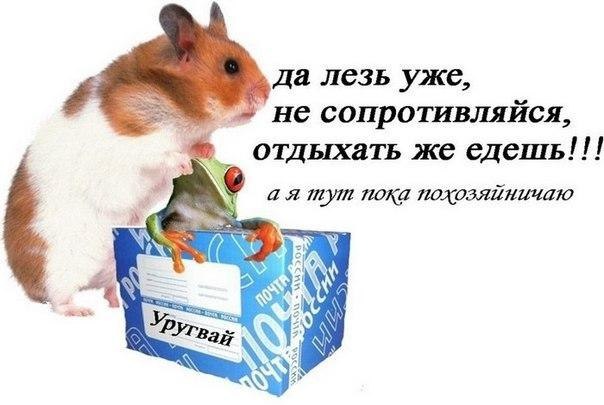 немного позитива.) узнаете себя?))