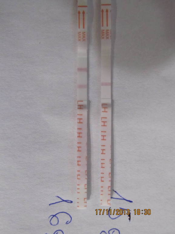 подскажите пожалуйста это О?