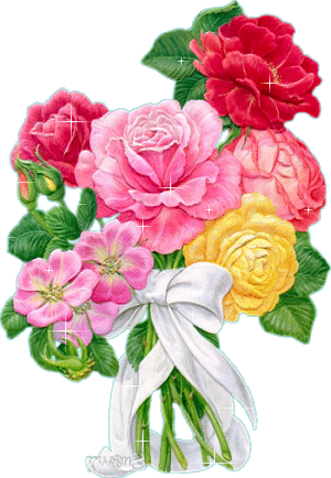 60e8a4d26fcd54c342cc12e0803184dd.gif