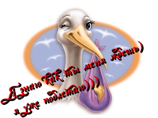 696795acf40dbd0771f04a87f9c7896a.jpg