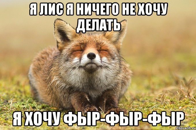 А хочется фыр-фыр-фыр