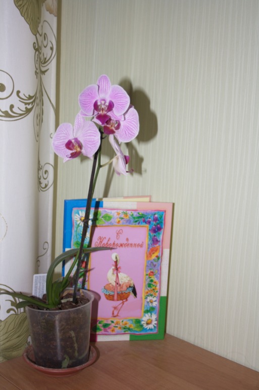 тоже решила похвастаться)