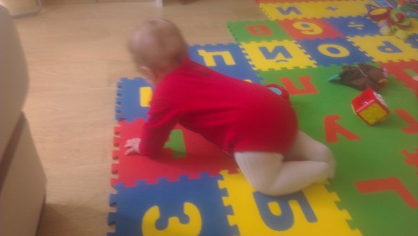 Полугодовасик )))