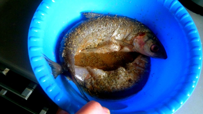 Запеченая рыба с картофелем в пряных травках