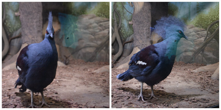 Океанариум №2 РИО