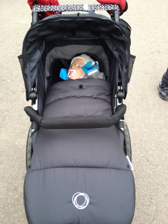 Mountain Buggy Terrain Evolution 2013 цвет Flint Первая прогулка.