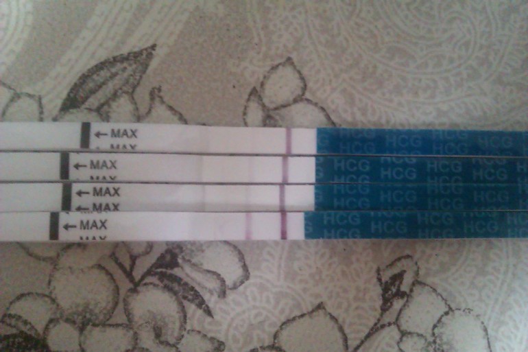 Мои полосатики)))))