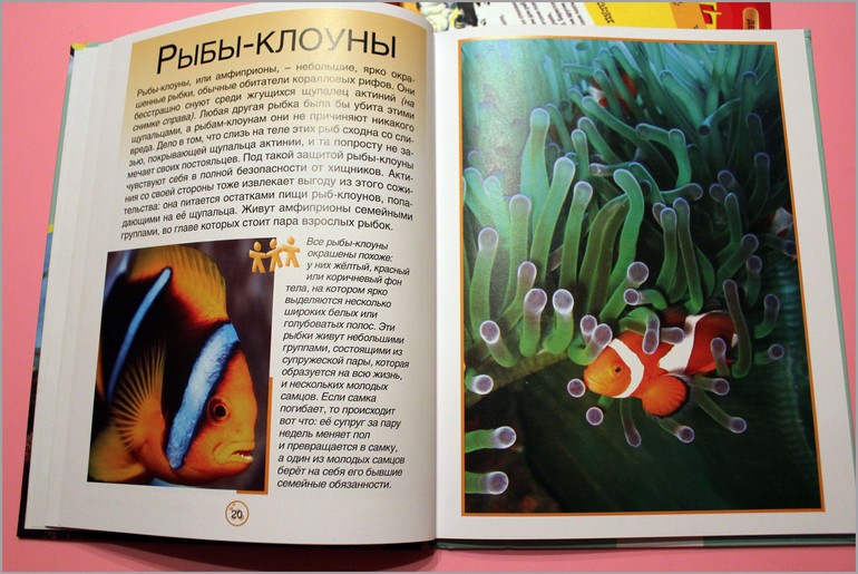 Наши любимые книги в 1,4 мес.