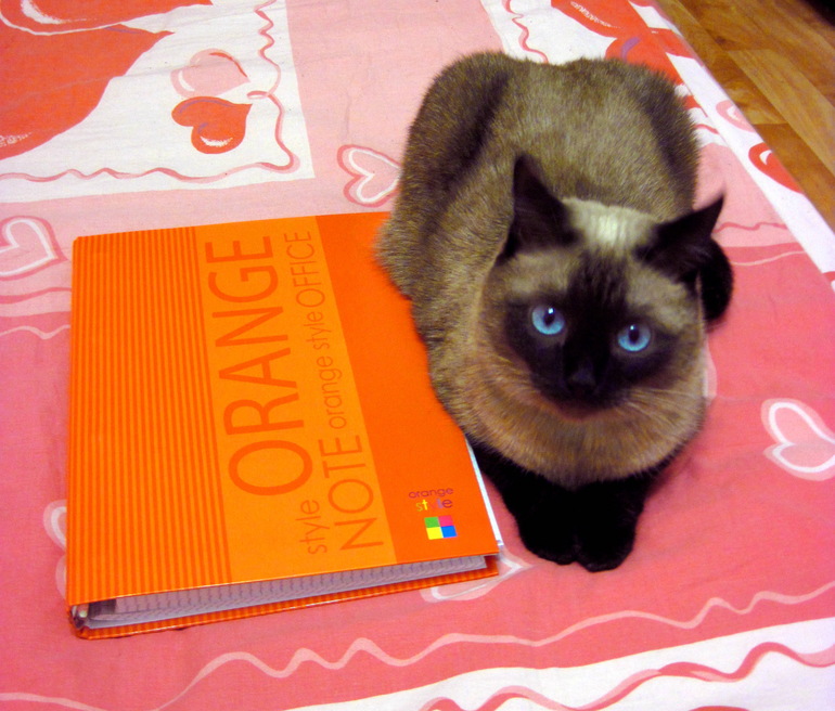 Взлет №67. День 4