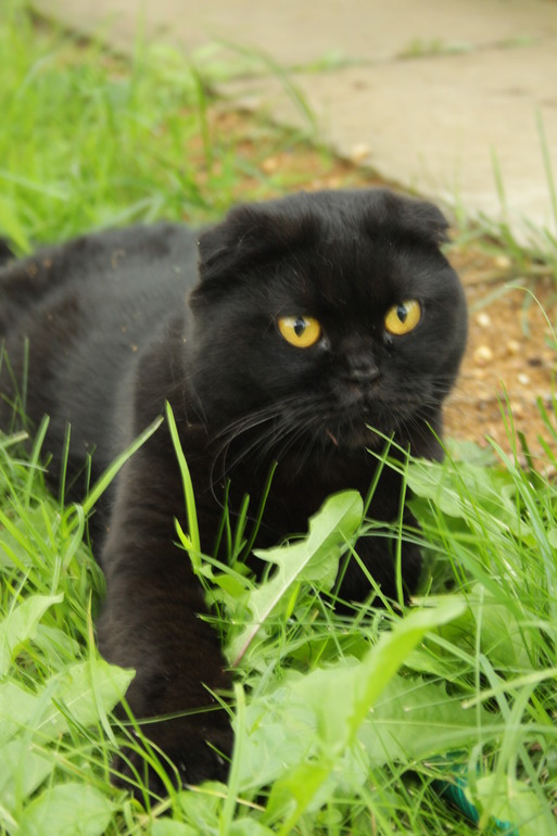 Подорок для доченьки