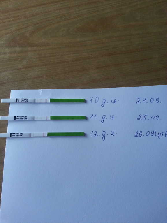 так была овулька или нет?