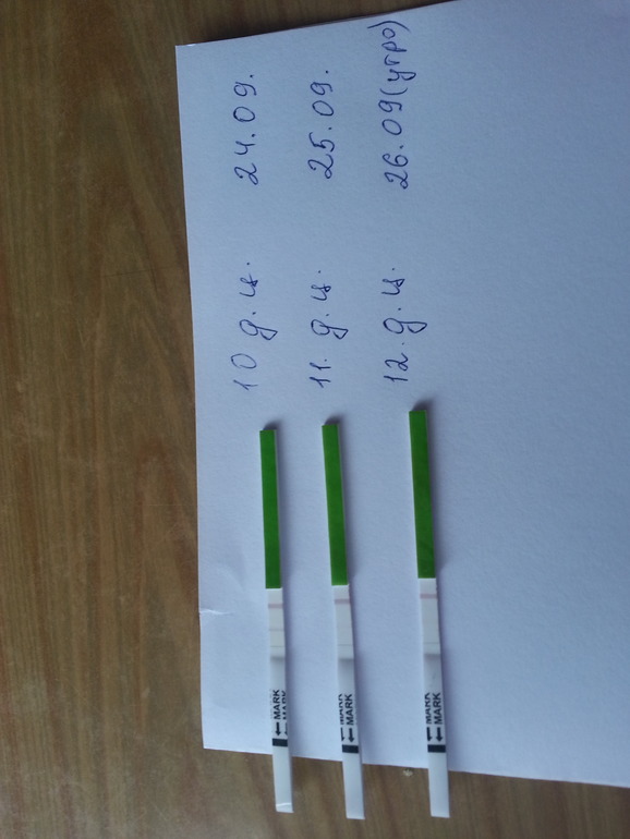 так была овулька или нет?