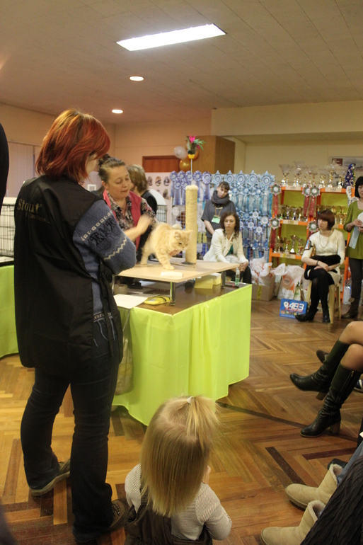 О том, как провели первые 2 недели декабря