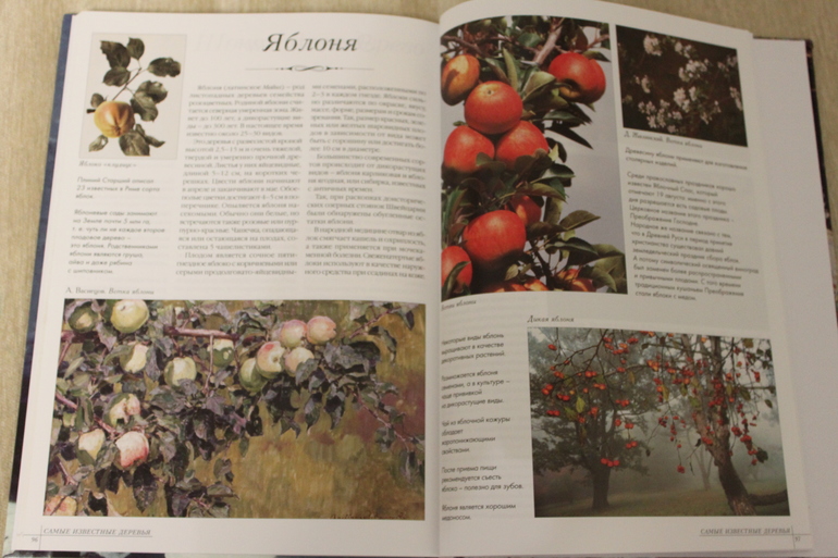 Яблочный Спас - как мы провели день