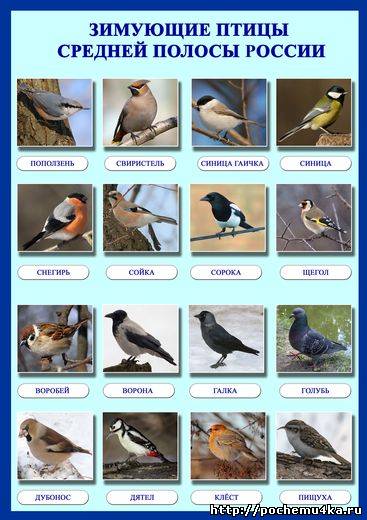 Наше осеннее