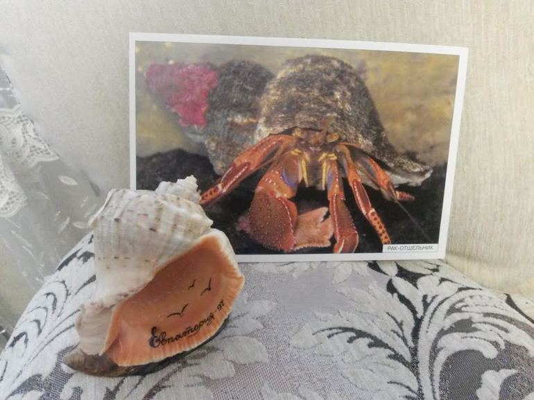 Наше морское