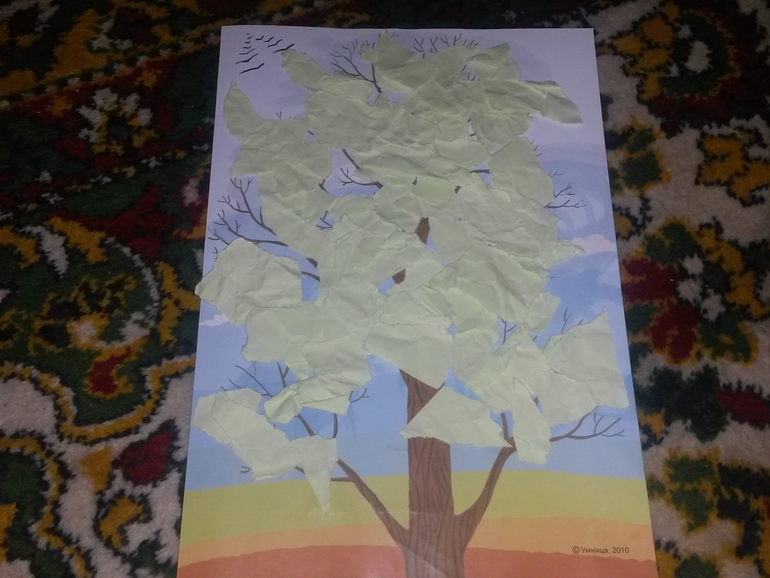 ТН Деревья (наш первый опыт)