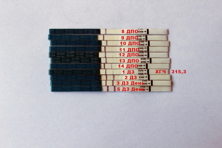 3d60c96daa0b59293e5af9cc2d2a3088.jpg