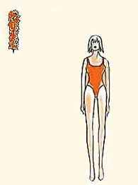 Курс самопознания. Тип фигуры