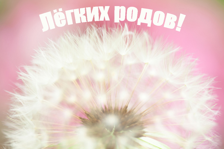 79ec841a0611599fc3e0ec020dd9d5f8.jpg