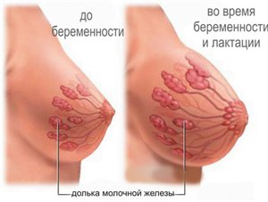 6e6380753409ef32eaf04550f378eb66.jpg