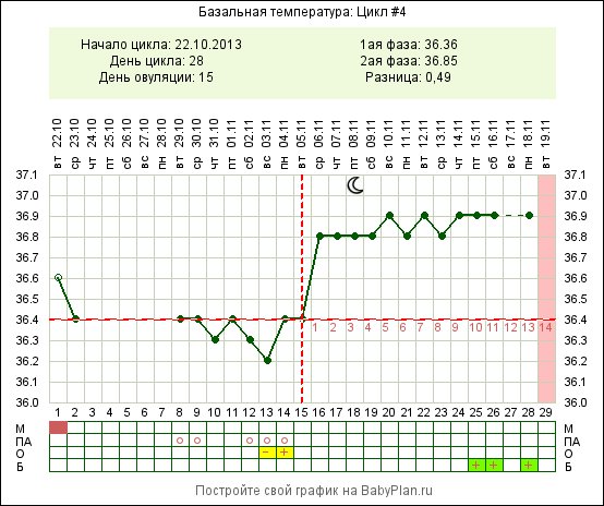 беременный график