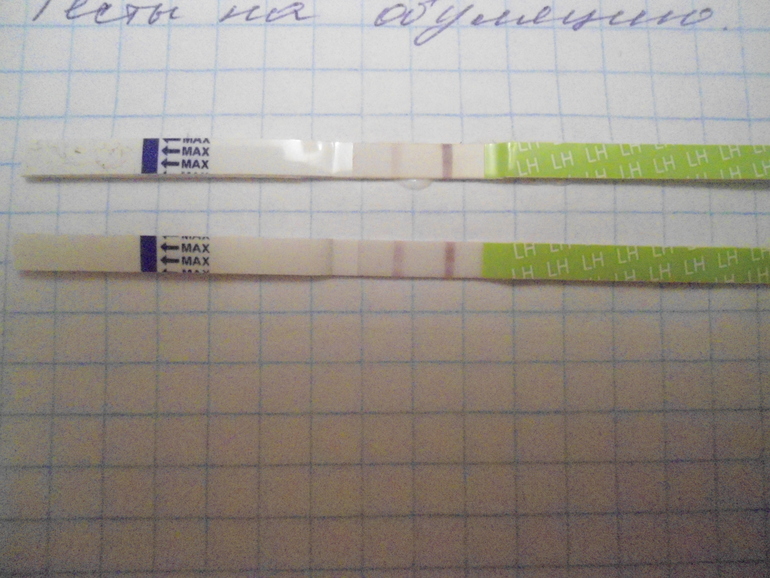 Когда овуляция???