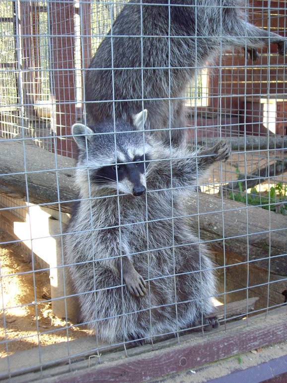 Выходной по-семейному)))