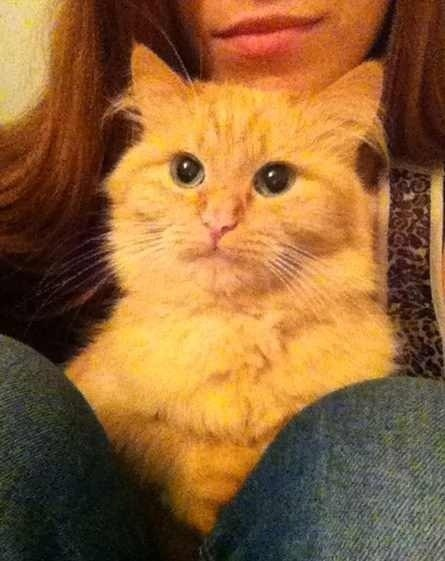 И я поделюсь)))