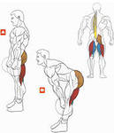 Тренажерный зал дома