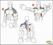 Тренажерный зал дома