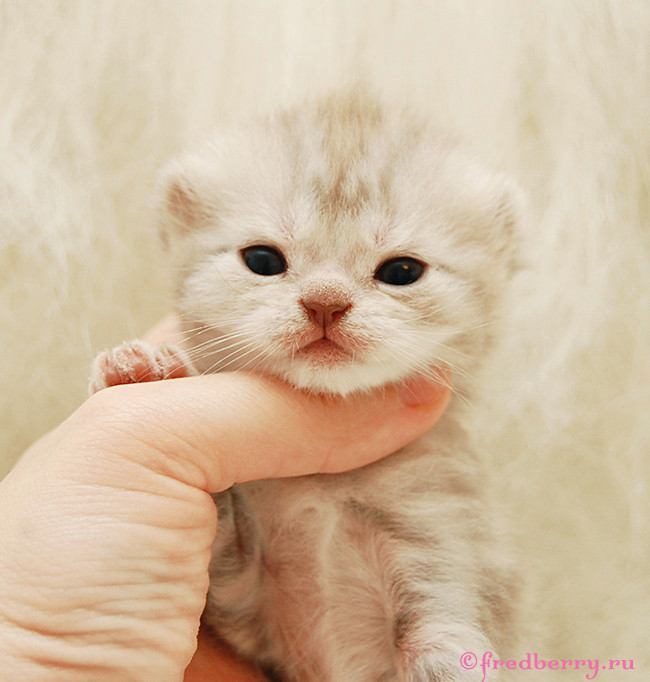 А вот и первые фоточки