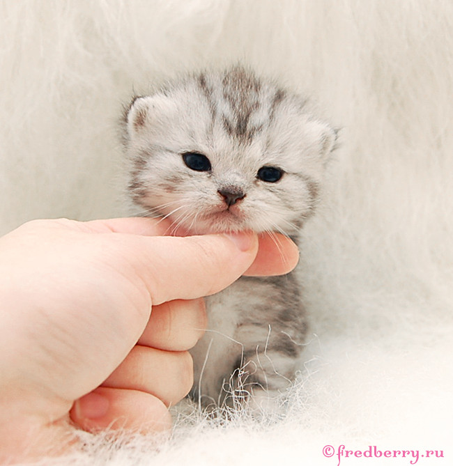 А вот и первые фоточки