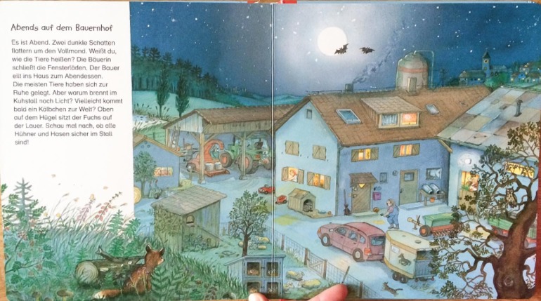 Еще одна немецкая покупка