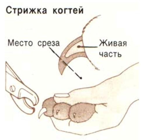 07bfdf5852a604d8f4f57fde60d1e5cf.jpg