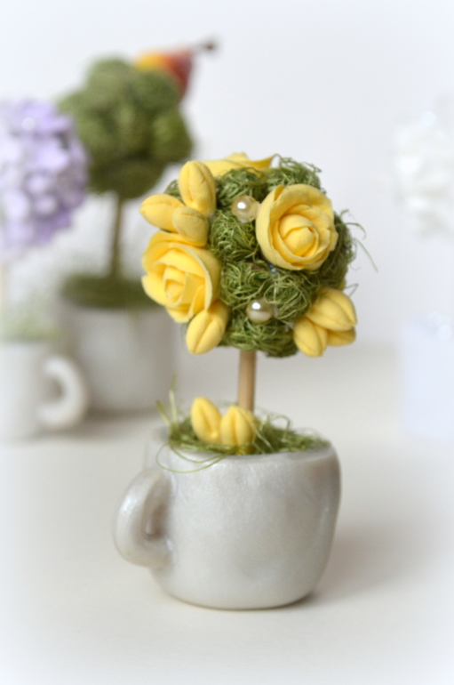 Мини топиарии))