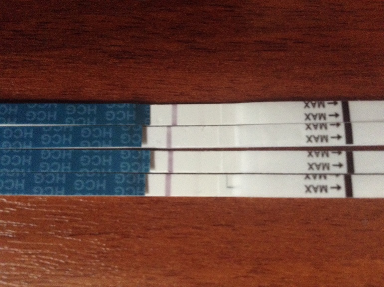 Кто что видит?до М дня 4!