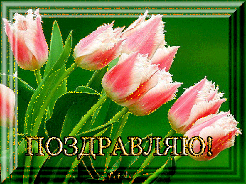 1c8c48acc5673a968030df639c55693d.gif