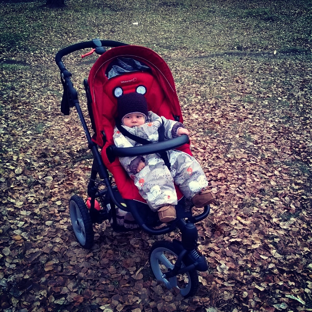 Bebe Confort High Trek - отзыв о коляске