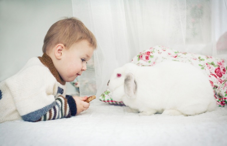 Новогодние и семейные фотосессии