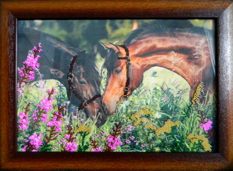 Помогите выбрать