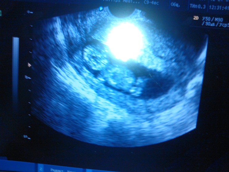 Давайте знакомиться!