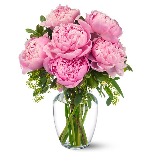 3883d78f485afee82834ecfb805ae0c1.png