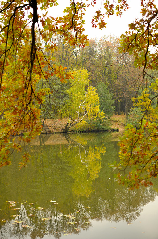 Осень в парке