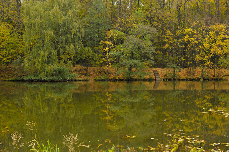 Осень в парке
