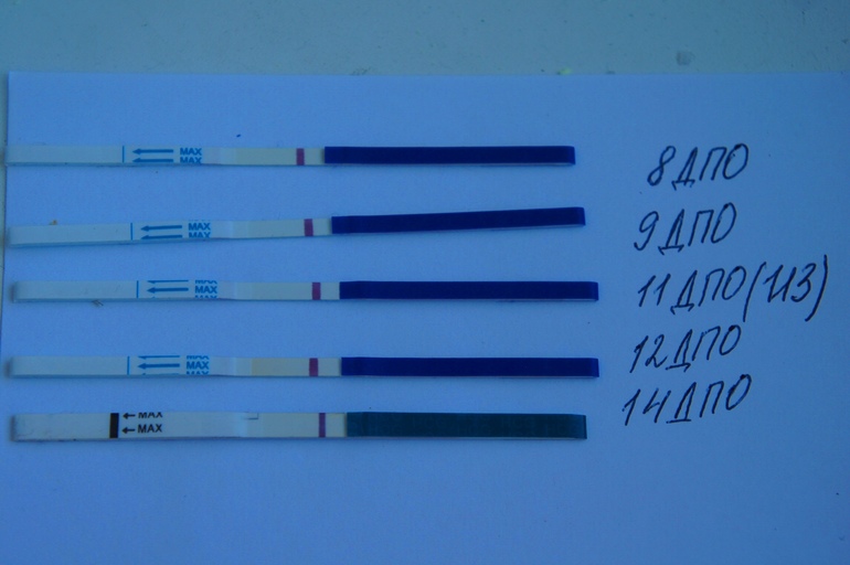 как-то все не понятно или наоборот....