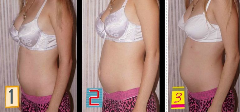 1 триместр Пузики